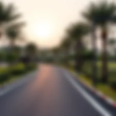 Jogging Track in Al Barari Well-maintained jogging track amidst the greenery in Al Barari