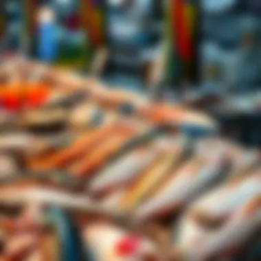 Close-up of exotic fish varieties available in Al Karama