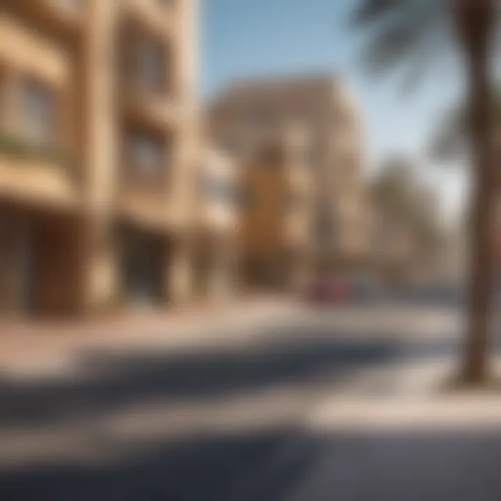 Modern amenities and recreational spaces available along Al Mina Road, emphasizing urban development.