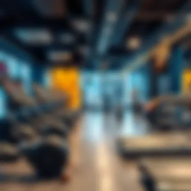 Elevate Your Fitness Journey at the Modern Gym Modern gym facilities equipped with advanced equipment