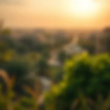 Serenity of Nature in Damac Hills Lush green spaces in Damac Hills