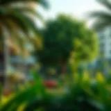 Lush Greenery in Discovery Gardens Lush greenery in Discovery Gardens