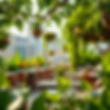 Dine in a lush green setting