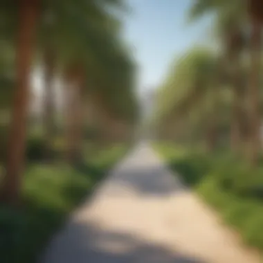 Recreational Spaces at Jebel Ali Palm Lush greenery and recreational areas in Jebel Ali Palm