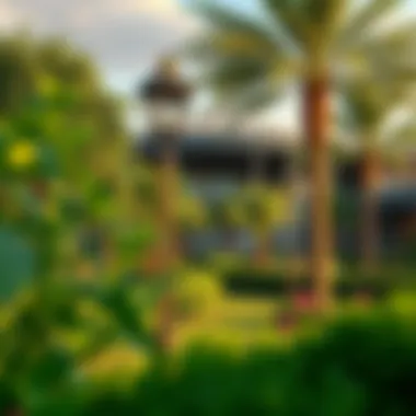 Lush Greenery Around Junipers Vida Beautiful greenery surrounding Junipers Vida