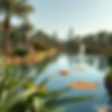 Tranquil Lake at Mashriq Park Tranquil lake surrounded by diverse plant life in Mashriq Park