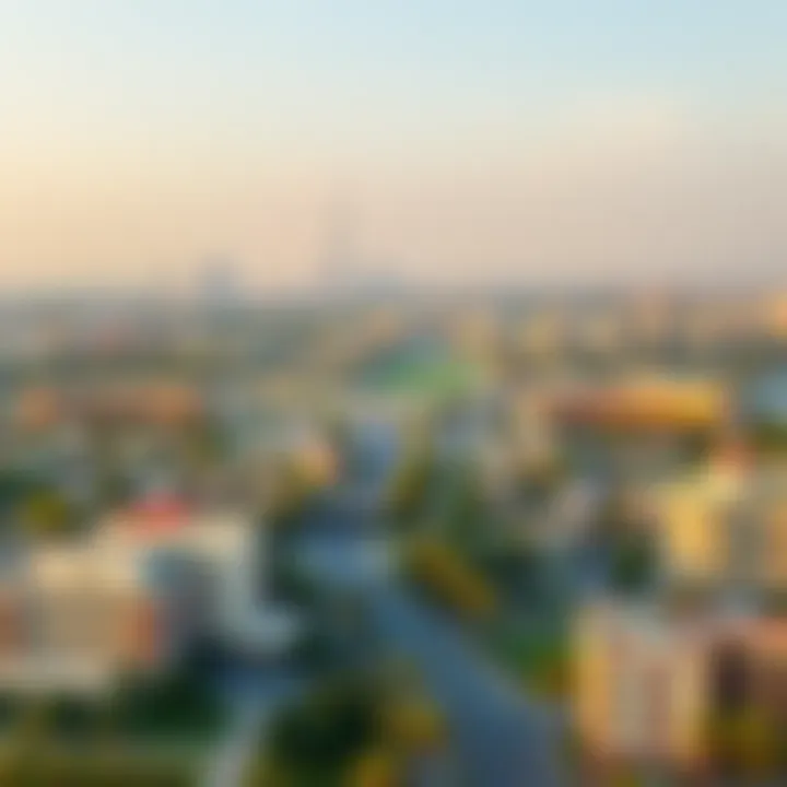 Panoramic View of Meydan A panoramic view of Meydan showcasing its skyline and greenery