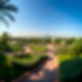 A panoramic view of Mishrif Park showcasing its lush greenery and pathways