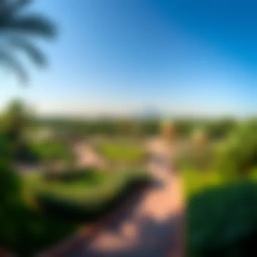 A panoramic view of Mishrif Park showcasing its lush greenery and pathways