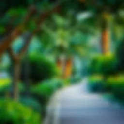 Lush greenery in Mushrif Park