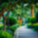 Lush Greenery in Mushrif Park Lush greenery in Mushrif Park