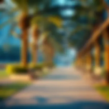 Pathways and seating areas in Mushrif Park