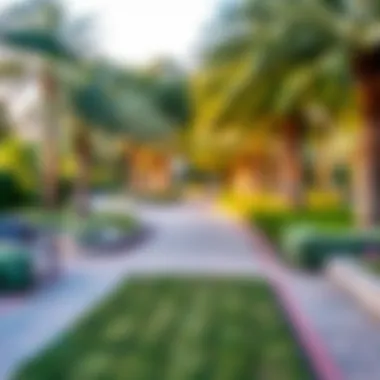 Tranquil Pathway in Mushrif Park A tranquil pathway through the park