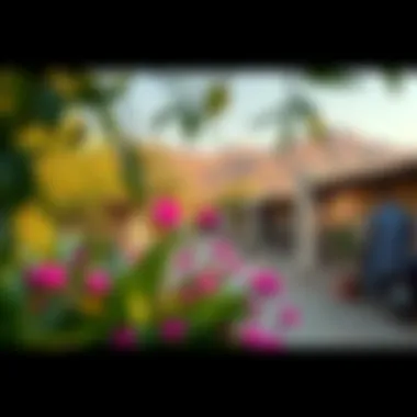 Natural Beauty of Mushrif Village Lush greenery and vibrant flora in Mushrif Village