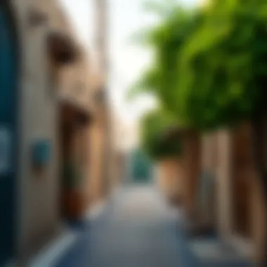 Charming Streets of Mushrif Village Charming streets and pathways of Mushrif Village