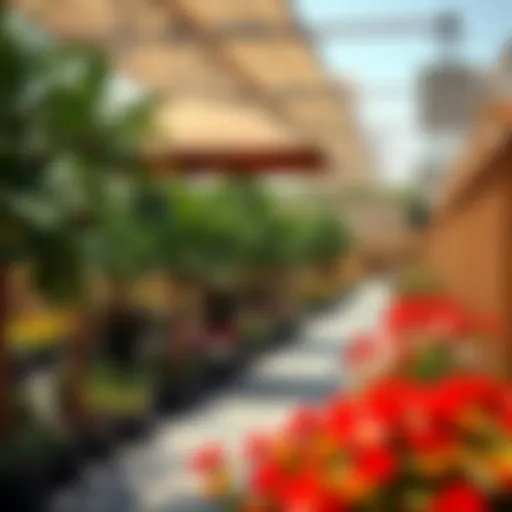 A serene nursery environment in Karama