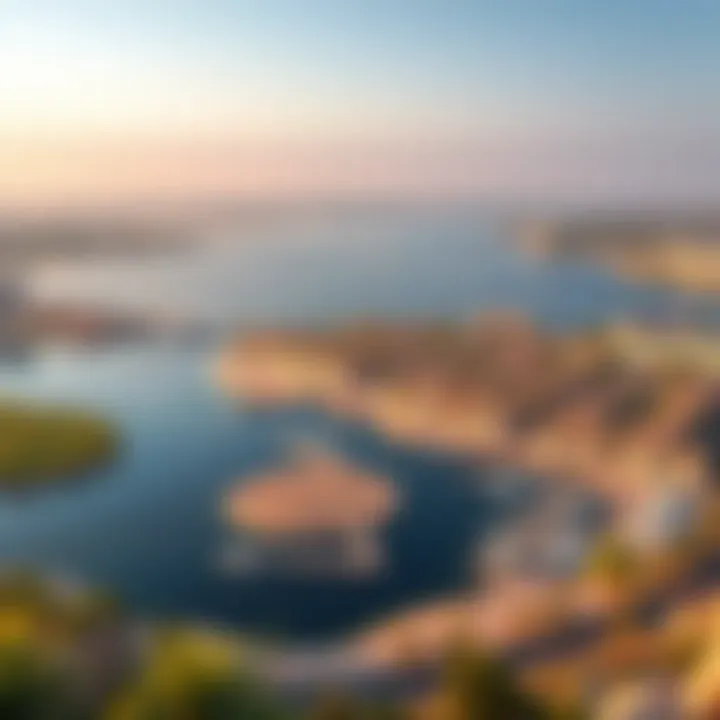 A panoramic view of Ras Al Khor's rich ecosystem