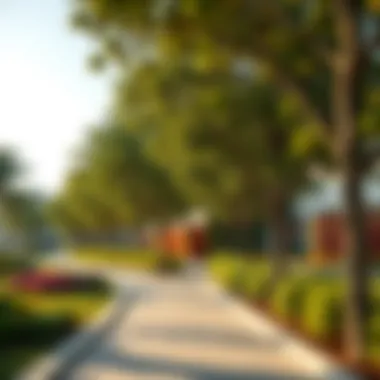 Tree-Lined Pathways in Discovery Garden Stylish pathways lined with trees in Discovery Garden