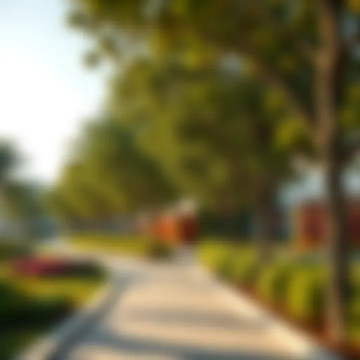 Tree-Lined Pathways in Discovery Garden Stylish pathways lined with trees in Discovery Garden