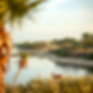 Wildlife thriving near a Dubai lake, showcasing ecological diversity