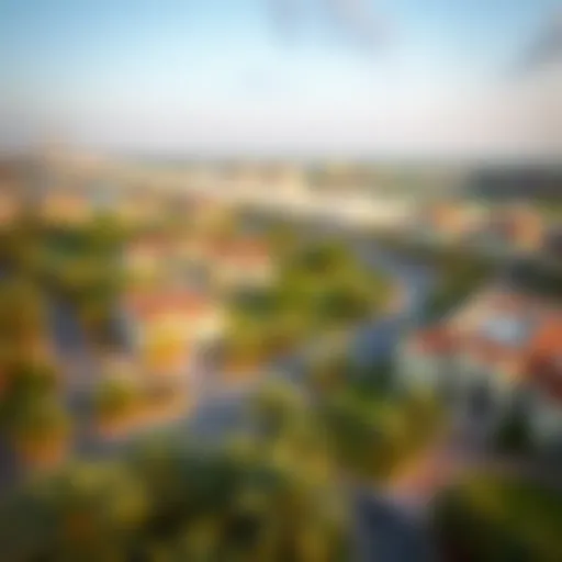 Aerial view of Meydan Community showcasing luxury villas and greenery