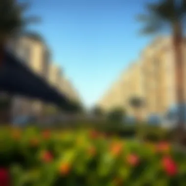 A serene community park in a residential neighborhood of Dubai