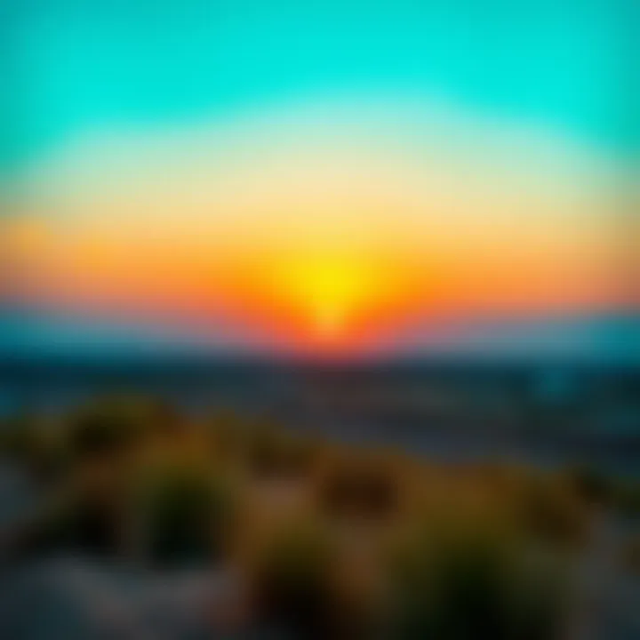 Stunning sunset over the Sahara Meadows highlighting natural beauty