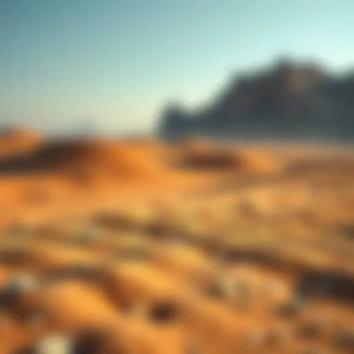 Close-up of intricate textures in the landscape of Sahara Meadows