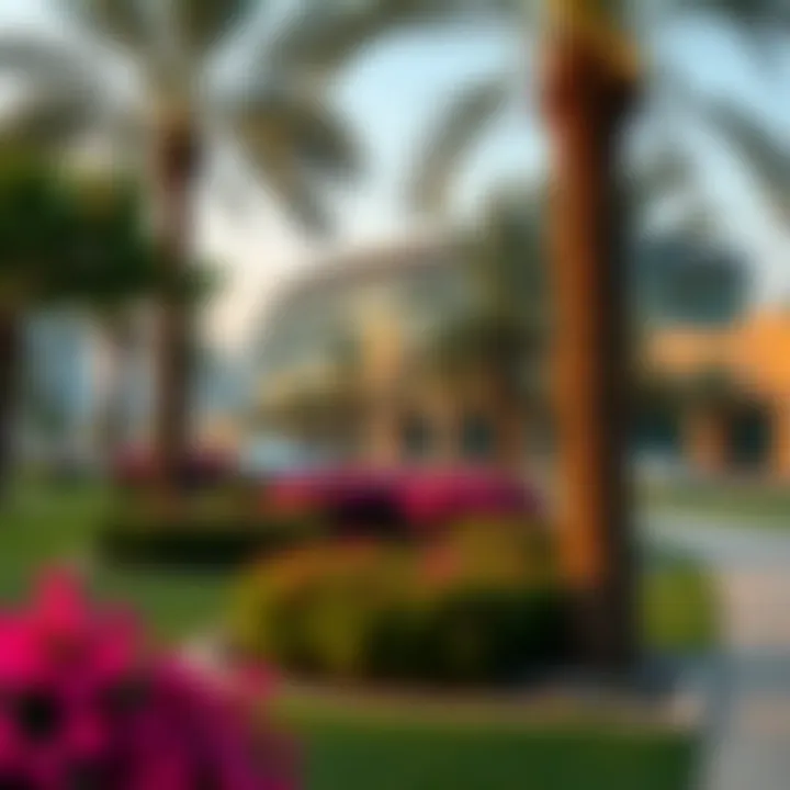 Tranquil Park in Oud Metha A tranquil park in Oud Metha, providing a serene escape within the urban landscape