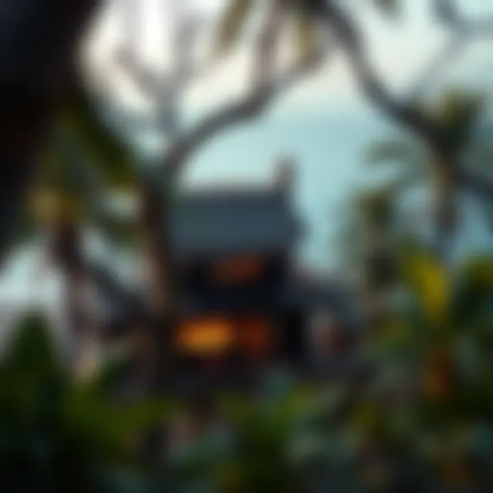 The Treehouse blending harmoniously with its natural surroundings and coastal views