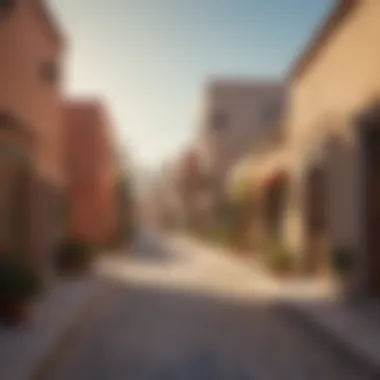 Charming Streets of Wasl Village Charming streets lined with traditional and modern buildings in Wasl Village