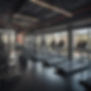 State-of-the-art Gym Facilities at Fitness First Al Barsha Modern gym equipment at Fitness First Al Barsha