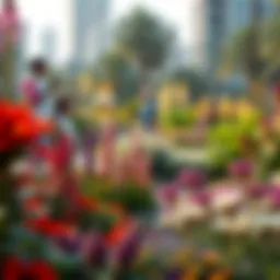 A serene Life Discovery Garden showcasing diverse flora.