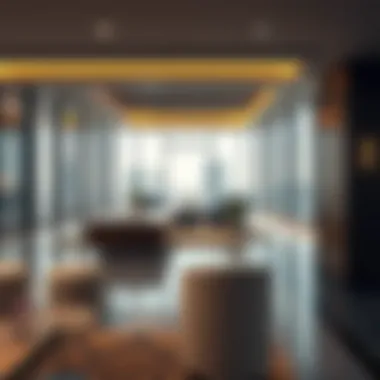 Interior view of the amenities within the Manal Tower emphasizing modern design and functionality