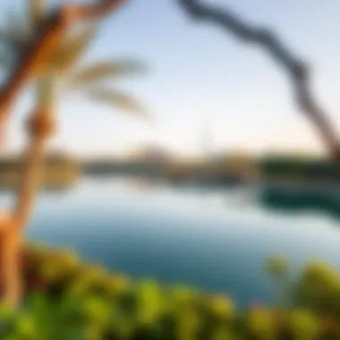 Tranquil Lake View in Mushref Park A panoramic view of the tranquil lake at Mushref Park