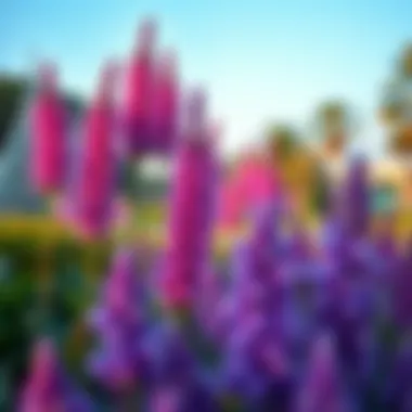 Diverse Flora in Mushrif Park A serene section of Mushrif Park featuring diverse flora and tranquil surroundings