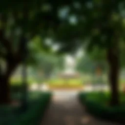 Stunning view of Mushrif Park's lush greenery