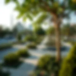 A panoramic view of Mushrif Park showcasing its lush greenery and pathways