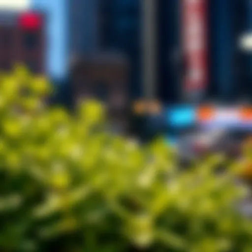 Vibrant Fresh Oregano Fresh oregano leaves showcasing their vibrant green color