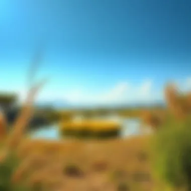 Breathtaking Wetland Scenery Stunning view of Ras Al Khor Wildlife Sanctuary's wetlands