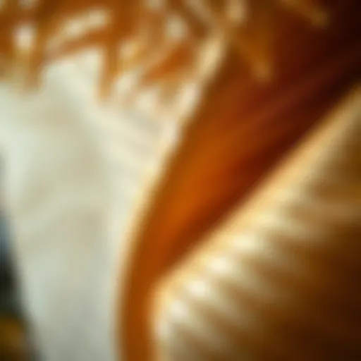 Intricate Patterns of Palm Leaf Textiles A close-up of palm leaf textiles showcasing intricate patterns and textures.