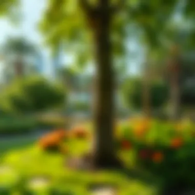 Serenity in Nature: The Lush Green Parks of The Springs Lush green park in The Springs