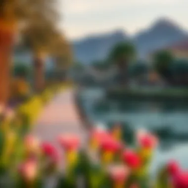 Picturesque Pathways: Scenic Lakeside Views in The Springs Scenic views of lakes and pathways