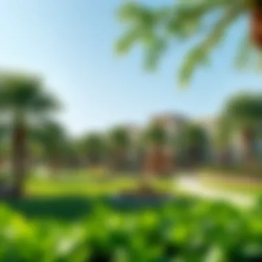 Lush green parks in the Springs community