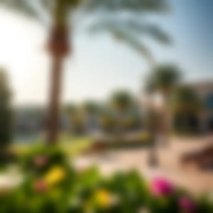 A serene park in Wasl Oasis 2, perfect for relaxation and recreation